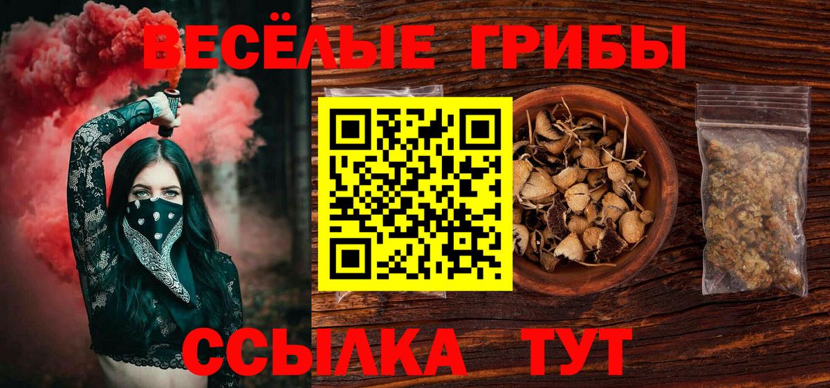 Псилоцибиновые грибы ЛСД  Вход с VPN  Псилоцибиновые грибы Psilocybine cubensis  Калуга 